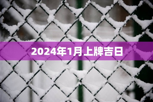 2025年1月上牌吉日