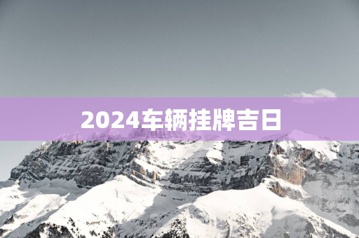 2025车辆挂牌吉日