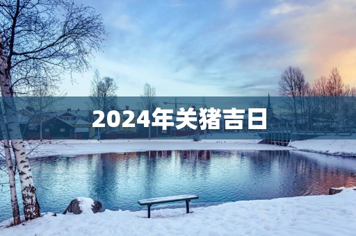 2025年关猪吉日