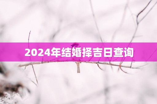 2025年结婚择吉日查询