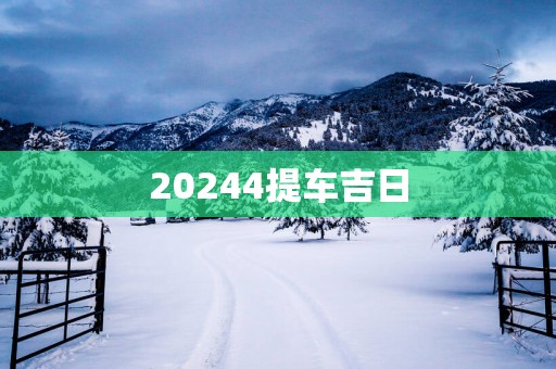 20254提车吉日