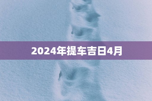2025年提车吉日4月