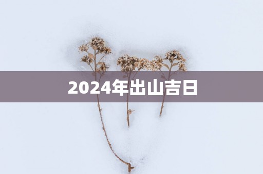 2025年出山吉日