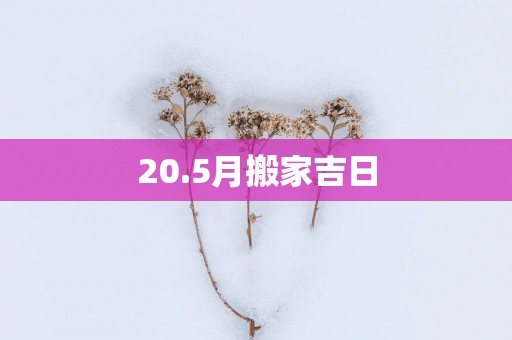 20.5月搬家吉日