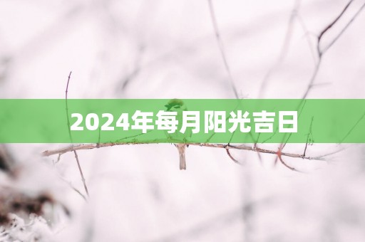 2025年每月阳光吉日