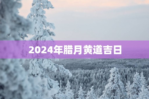 2025年腊月黄道吉日