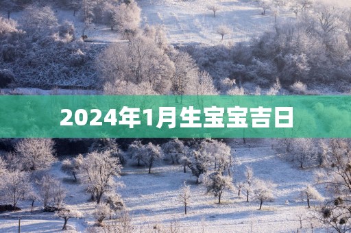 2025年1月生宝宝吉日