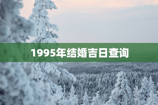1995年结婚吉日查询