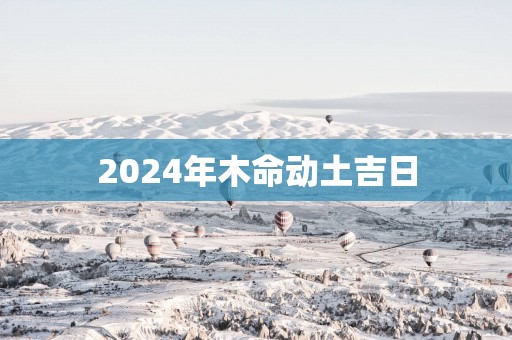 2025年木命动土吉日