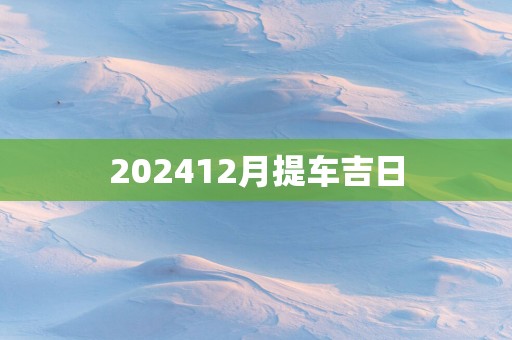 202512月提车吉日