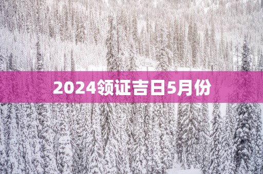 2025领证吉日5月份