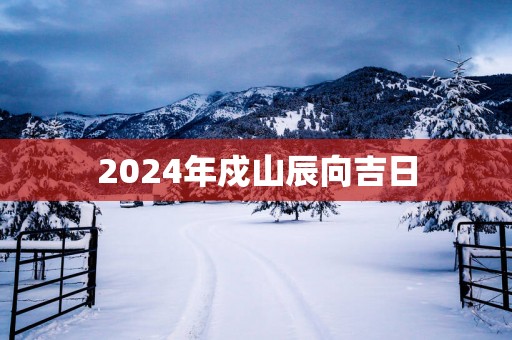 2025年戍山辰向吉日