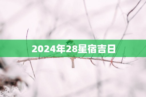 2025年28星宿吉日