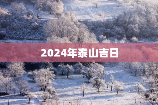 2025年泰山吉日
