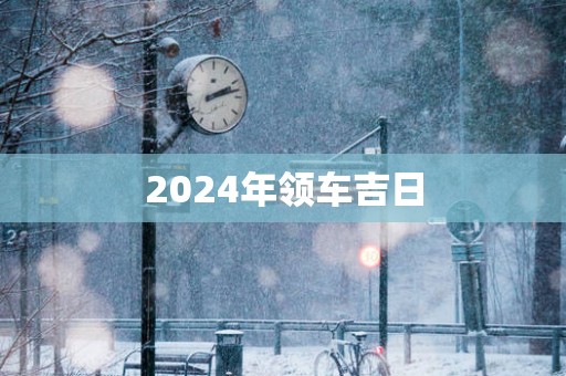 2025年领车吉日
