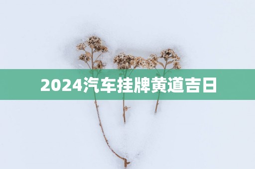 2025汽车挂牌黄道吉日