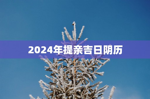 2025年提亲吉日阴历