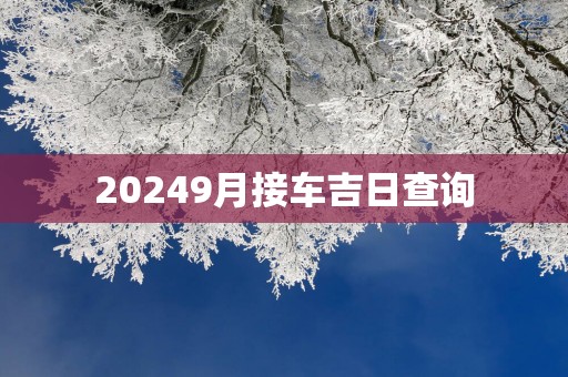 20259月接车吉日查询