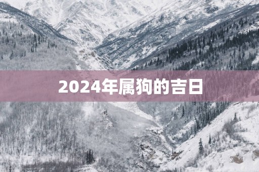 2025年属狗的吉日