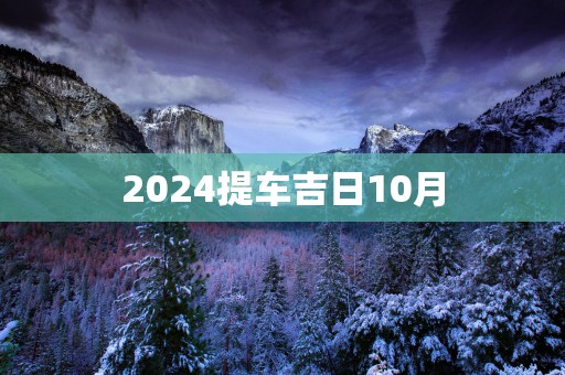 2025提车吉日10月
