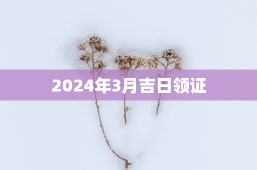 2025年3月吉日领证