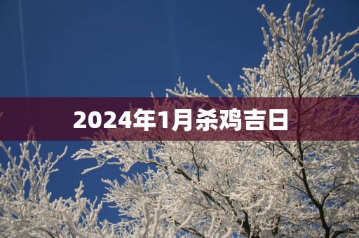 2025年1月杀鸡吉日