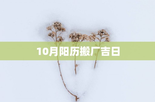 10月阳历搬厂吉日