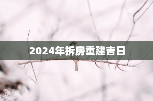 2025年拆房重建吉日