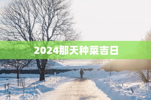 2025那天种菜吉日