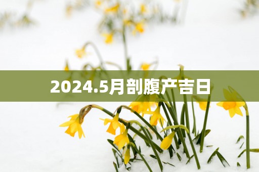 2025.5月剖腹产吉日