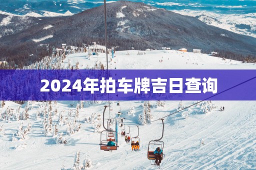 2025年拍车牌吉日查询