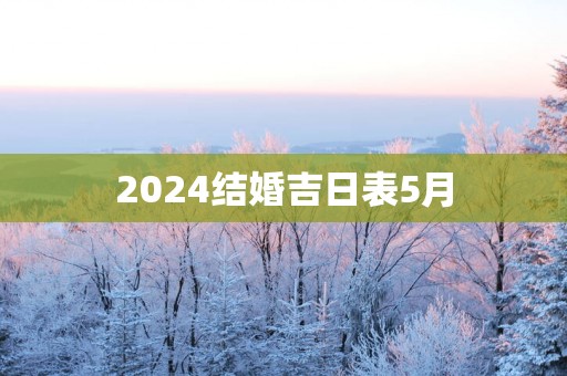 2025结婚吉日表5月