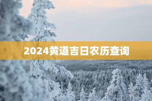 2025黄道吉日农历查询