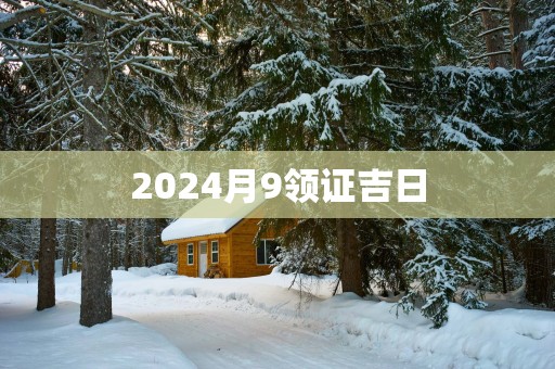 2025月9领证吉日
