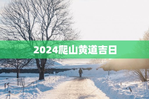 2025爬山黄道吉日