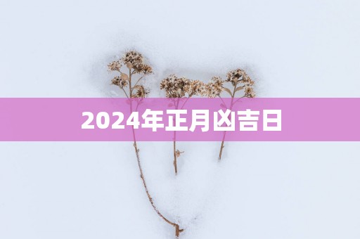 2025年正月凶吉日