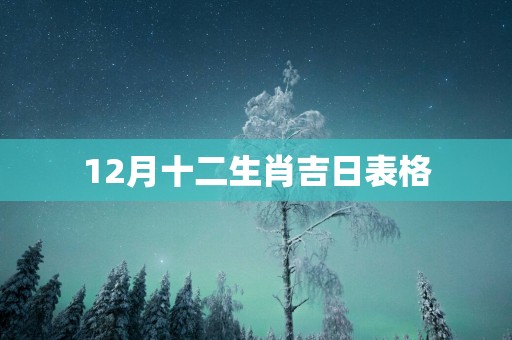 12月十二生肖吉日表格