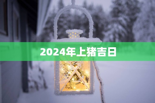 2025年上猪吉日