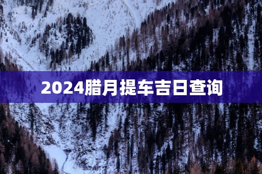 2025腊月提车吉日查询