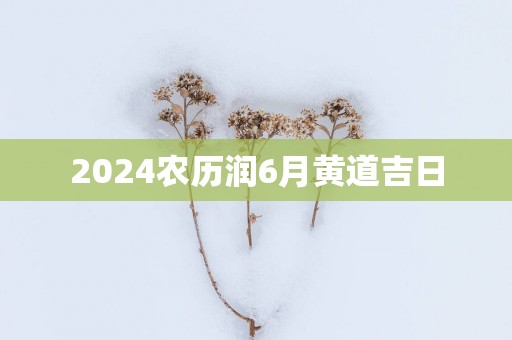 2025农历润6月黄道吉日