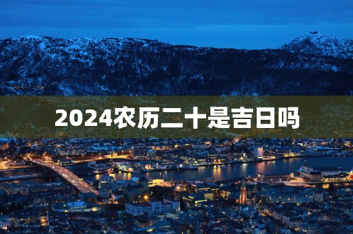 2025农历二十是吉日吗
