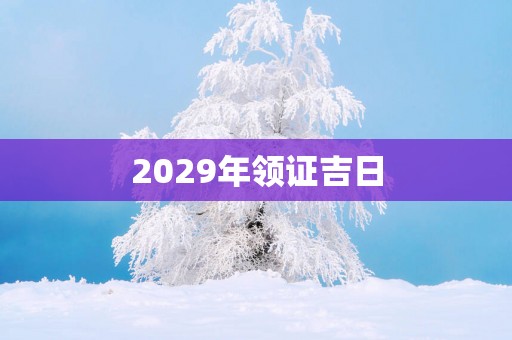 2029年领证吉日