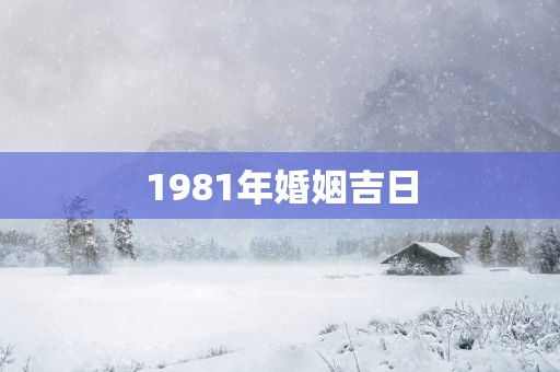 1981年婚姻吉日