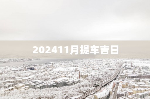 202511月提车吉日