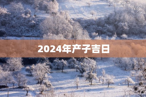 2025年产子吉日
