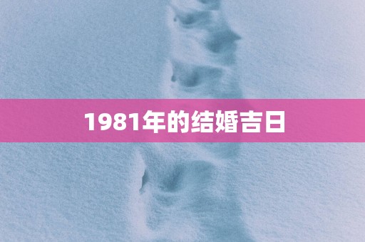 1981年的结婚吉日