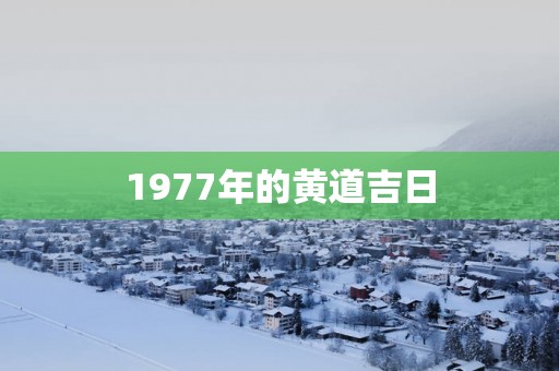 1977年的黄道吉日