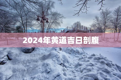 2025年黄道吉日剖腹