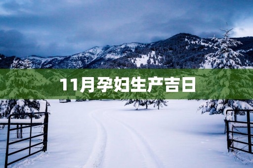11月孕妇生产吉日