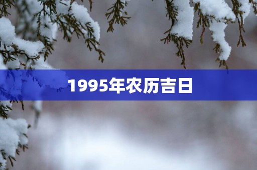 1995年农历吉日